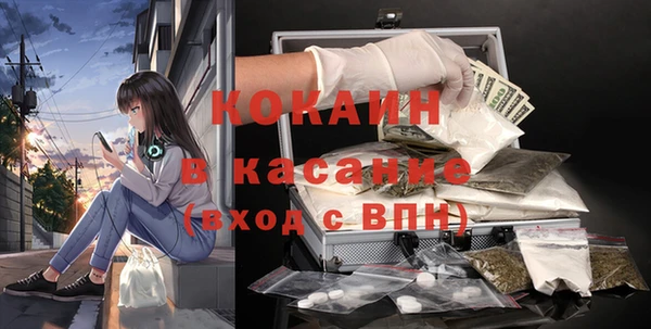 гашик Алзамай