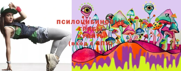 apvp Лиски