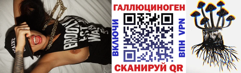 Псилоцибиновые грибы Psilocybine cubensis Отрадная